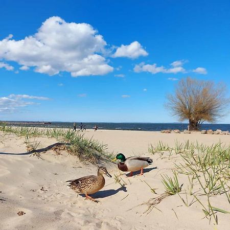 Ferienwohnung Ab Zum Haff Ueckermünde Екстериор снимка